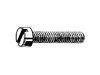 SLOTTED CHEESE HEAD SCREWS